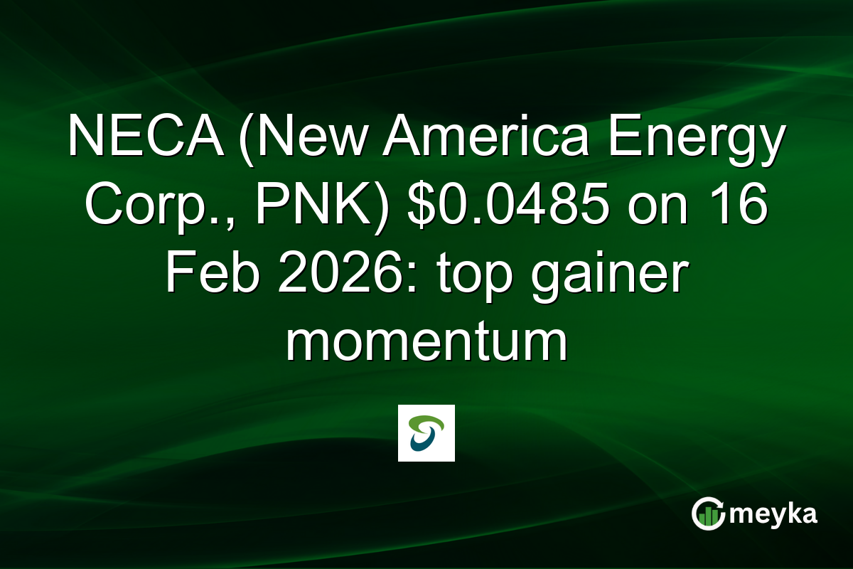 NECA (New America Energy Corp., PNK) $0.0485 on 16 Feb 2026: top gainer momentum