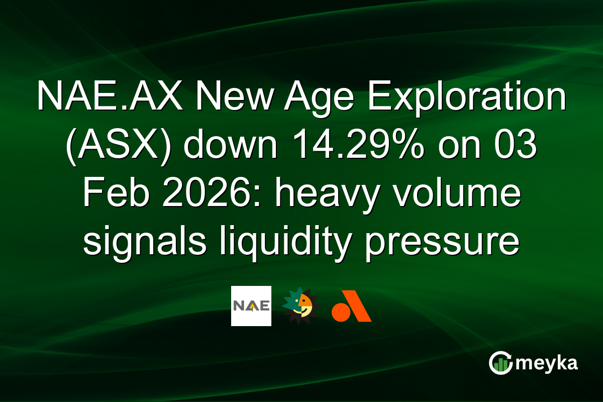 NAE.AX New Age Exploration (ASX) down 14.29% on 03 Feb 2026: heavy volume signals liquidity pressure