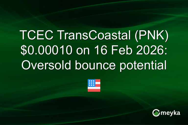 TCEC TransCoastal (PNK) $0.00010 on 16 Feb 2026: Oversold bounce potential
