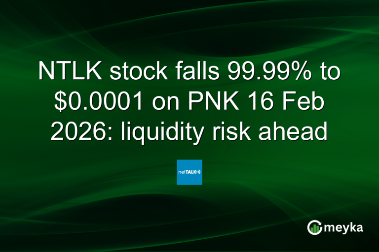 NTLK stock falls 99.99% to $0.0001 on PNK 16 Feb 2026: liquidity risk ahead