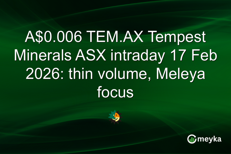 A$0.006 TEM.AX Tempest Minerals ASX intraday 17 Feb 2026: thin volume, Meleya focus