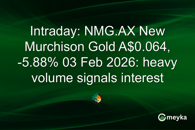 Intraday: NMG.AX New Murchison Gold A$0.064, -5.88% 03 Feb 2026: heavy volume signals interest