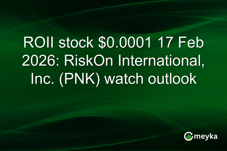 ROII stock $0.0001 17 Feb 2026: RiskOn International, Inc. (PNK) watch outlook