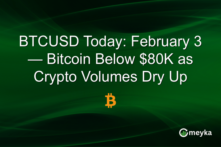 BTCUSD Today: February 3 — Bitcoin Below $80K as Crypto Volumes Dry Up