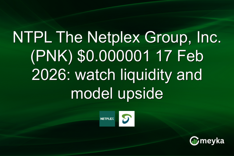 NTPL The Netplex Group, Inc. (PNK) $0.000001 17 Feb 2026: watch liquidity and model upside