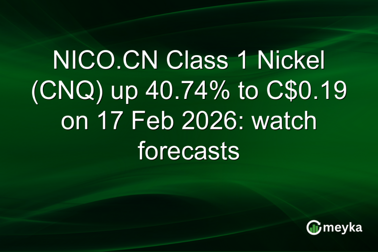 NICO.CN Class 1 Nickel (CNQ) up 40.74% to C$0.19 on 17 Feb 2026: watch forecasts