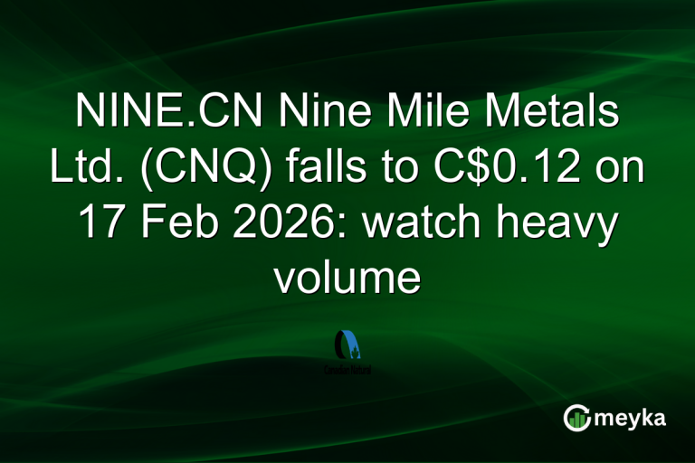 NINE.CN Nine Mile Metals Ltd. (CNQ) falls to C$0.12 on 17 Feb 2026: watch heavy volume