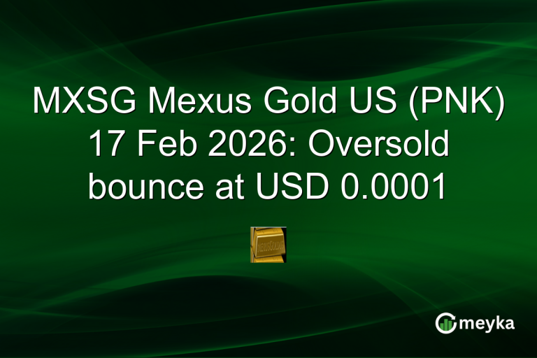 MXSG Mexus Gold US (PNK) 17 Feb 2026: Oversold bounce at USD 0.0001
