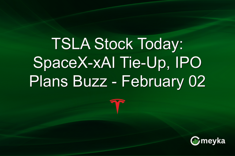 TSLA Stock Today: SpaceX-xAI Tie-Up, IPO Plans Buzz - February 02