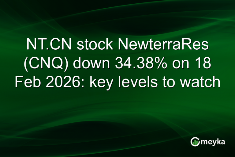 NT.CN stock NewterraRes (CNQ) down 34.38% on 18 Feb 2026: key levels to watch