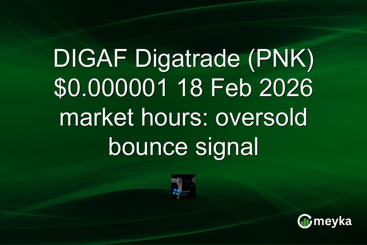 DIGAF Digatrade (PNK) $0.000001 18 Feb 2026 market hours: oversold bounce signal
