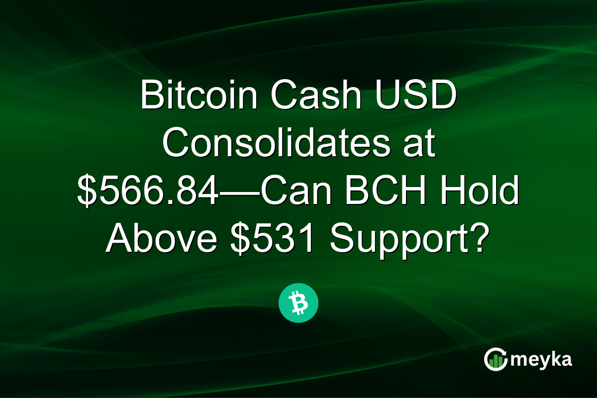 Bitcoin Cash USD Consolidates at $566.84—Can BCH Hold Above $531 Support?