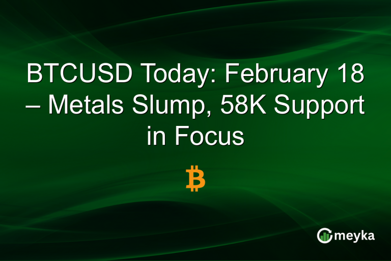 BTCUSD Today: February 18 – Metals Slump, 58K Support in Focus