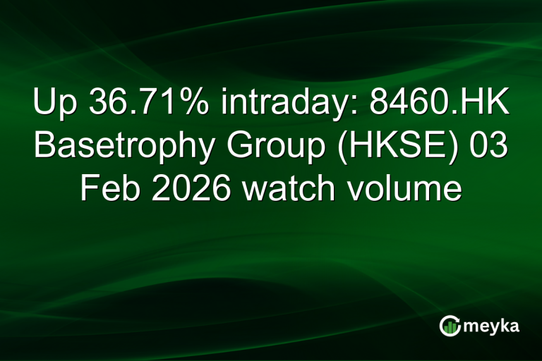 Up 36.71% intraday: 8460.HK Basetrophy Group (HKSE) 03 Feb 2026 watch volume