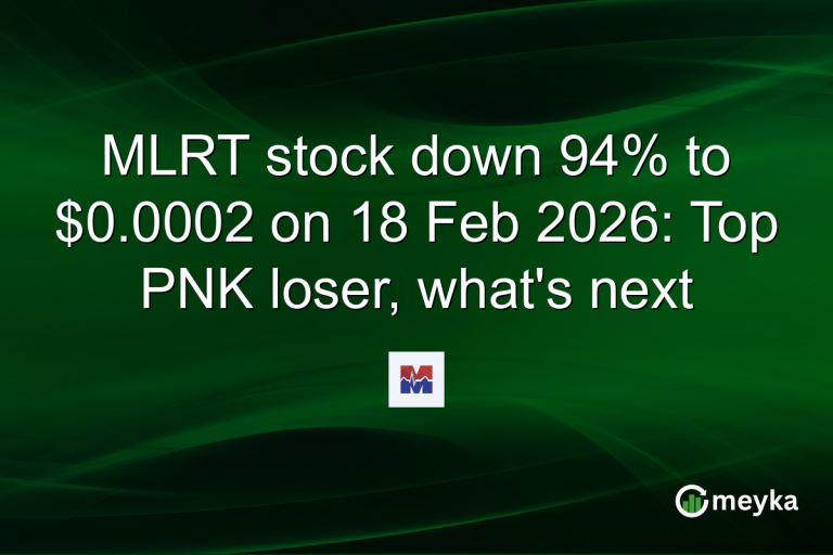 MLRT stock down 94% to $0.0002 on 18 Feb 2026: Top PNK loser, what's next