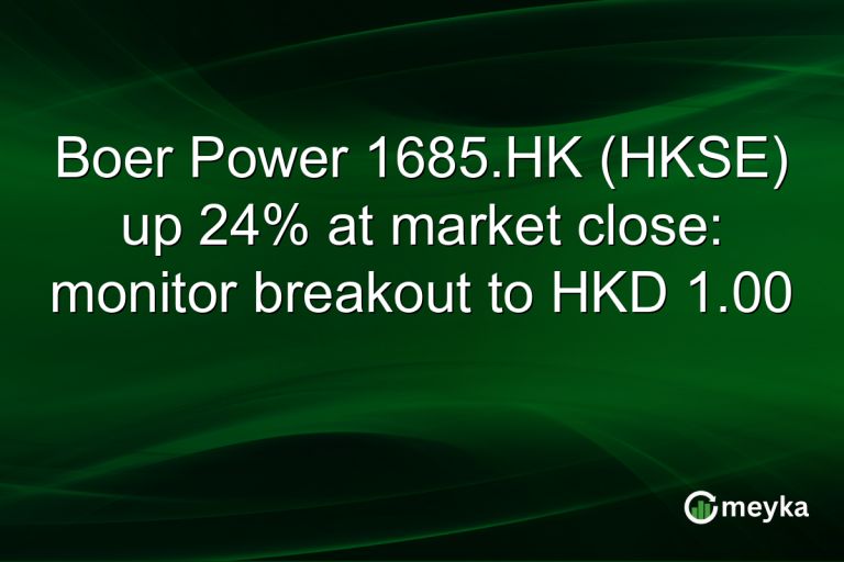 Boer Power 1685.HK (HKSE) up 24% at market close: monitor breakout to HKD 1.00