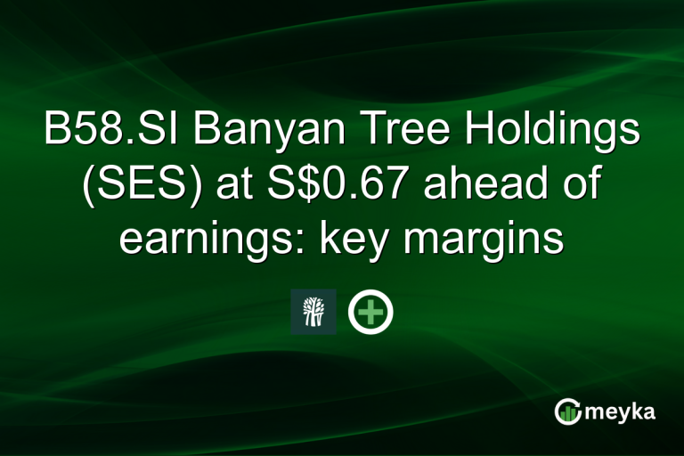 B58.SI Banyan Tree Holdings (SES) at S$0.67 ahead of earnings: key margins
