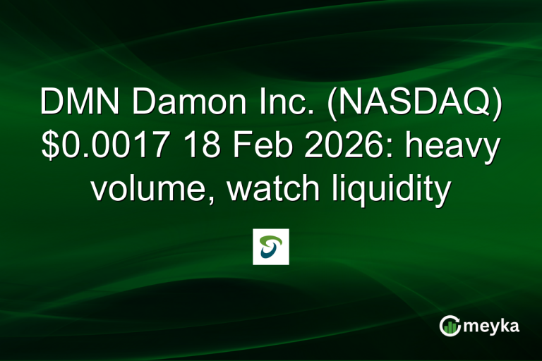 DMN Damon Inc. (NASDAQ) $0.0017 18 Feb 2026: heavy volume, watch liquidity