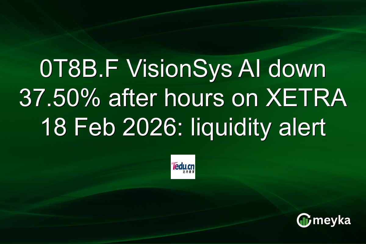 0T8B.F VisionSys AI down 37.50% after hours on XETRA 18 Feb 2026: liquidity alert