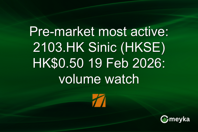 Pre-market most active: 2103.HK Sinic (HKSE) HK$0.50 19 Feb 2026: volume watch