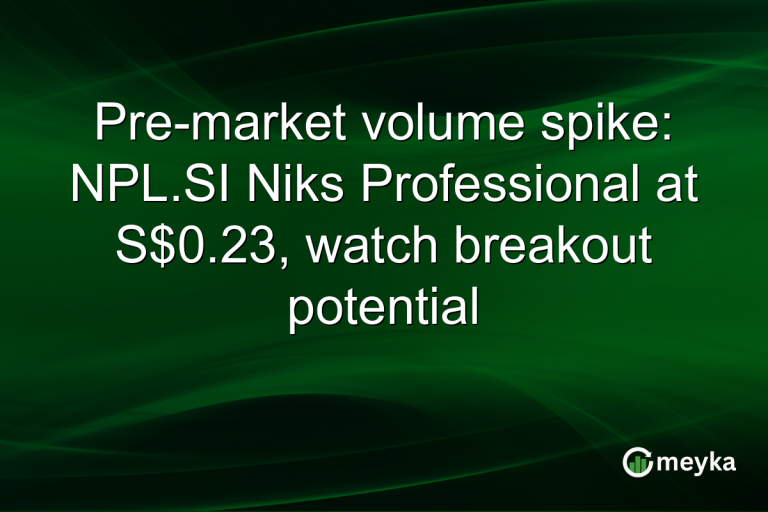 Pre-market volume spike: NPL.SI Niks Professional at S$0.23, watch breakout potential