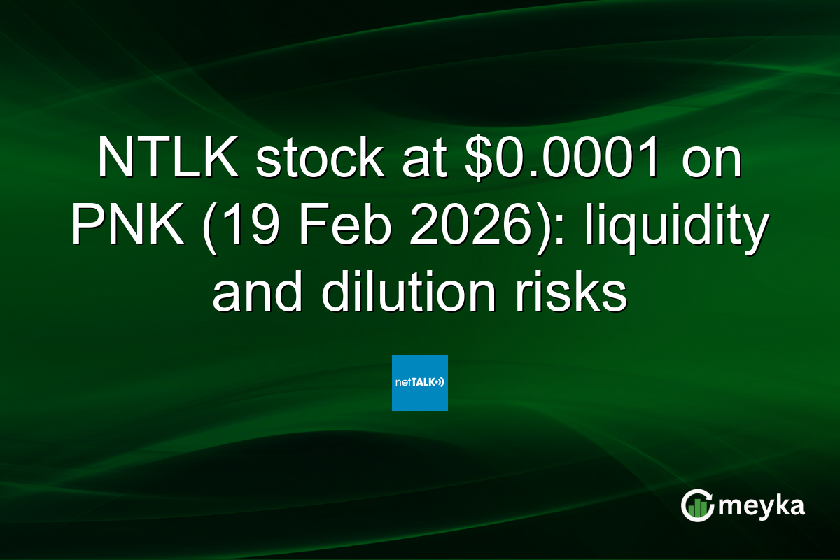 NTLK stock at $0.0001 on PNK (19 Feb 2026): liquidity and dilution risks