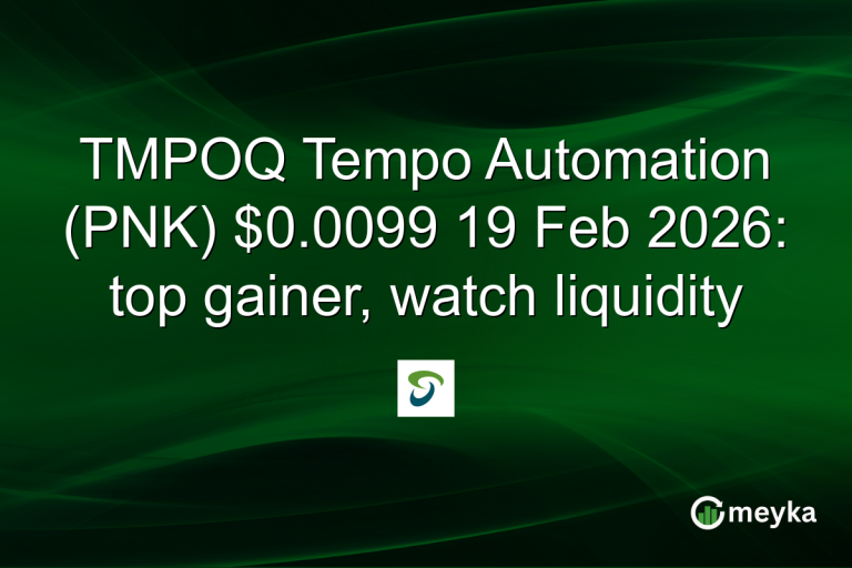 TMPOQ Tempo Automation (PNK) $0.0099 19 Feb 2026: top gainer, watch liquidity