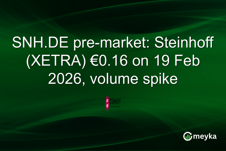 SNH.DE pre-market: Steinhoff (XETRA) €0.16 on 19 Feb 2026, volume spike