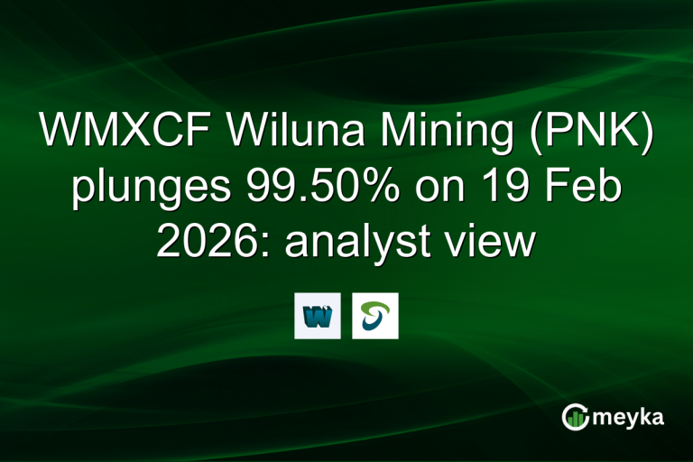 WMXCF Wiluna Mining (PNK) plunges 99.50% on 19 Feb 2026: analyst view