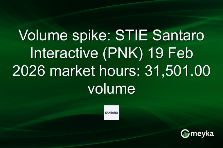 Volume spike: STIE Santaro Interactive (PNK) 19 Feb 2026 market hours: 31,501.00 volume