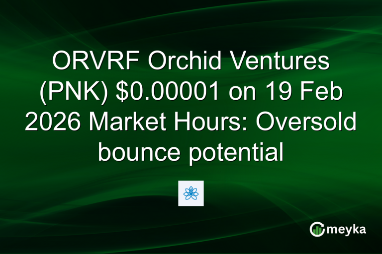 ORVRF Orchid Ventures (PNK) $0.00001 on 19 Feb 2026 Market Hours: Oversold bounce potential