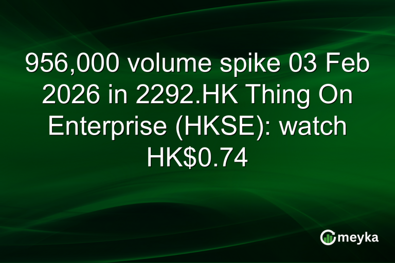 956,000 volume spike 03 Feb 2026 in 2292.HK Thing On Enterprise (HKSE): watch HK$0.74