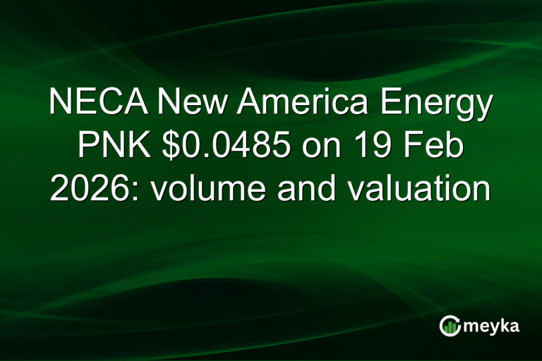 NECA New America Energy PNK $0.0485 on 19 Feb 2026: volume and valuation