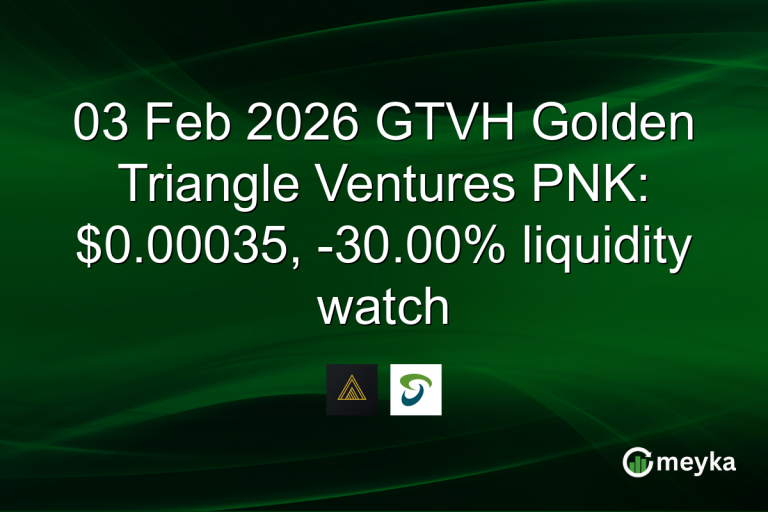 03 Feb 2026 GTVH Golden Triangle Ventures PNK: $0.00035, -30.00% liquidity watch