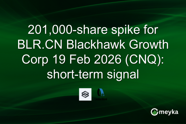 201,000-share spike for BLR.CN Blackhawk Growth Corp 19 Feb 2026 (CNQ): short-term signal