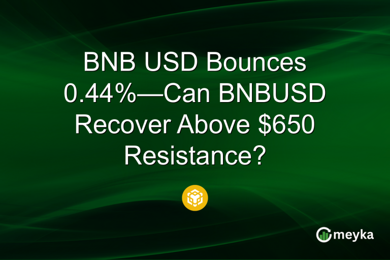 BNB USD Bounces 0.44%—Can BNBUSD Recover Above $650 Resistance?