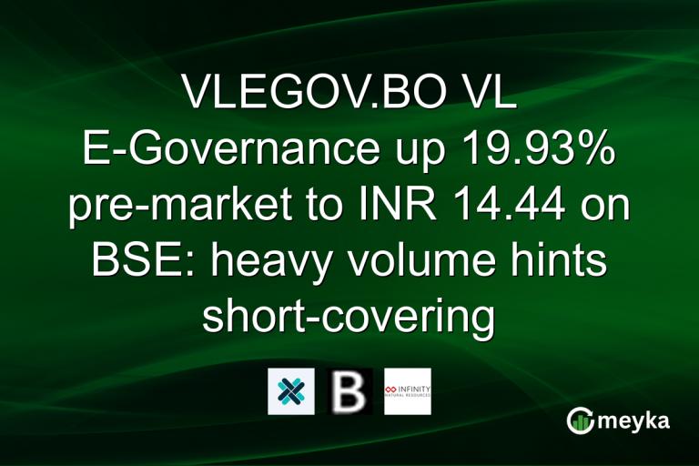 VLEGOV.BO VL E-Governance up 19.93% pre-market to INR 14.44 on BSE: heavy volume hints short-covering