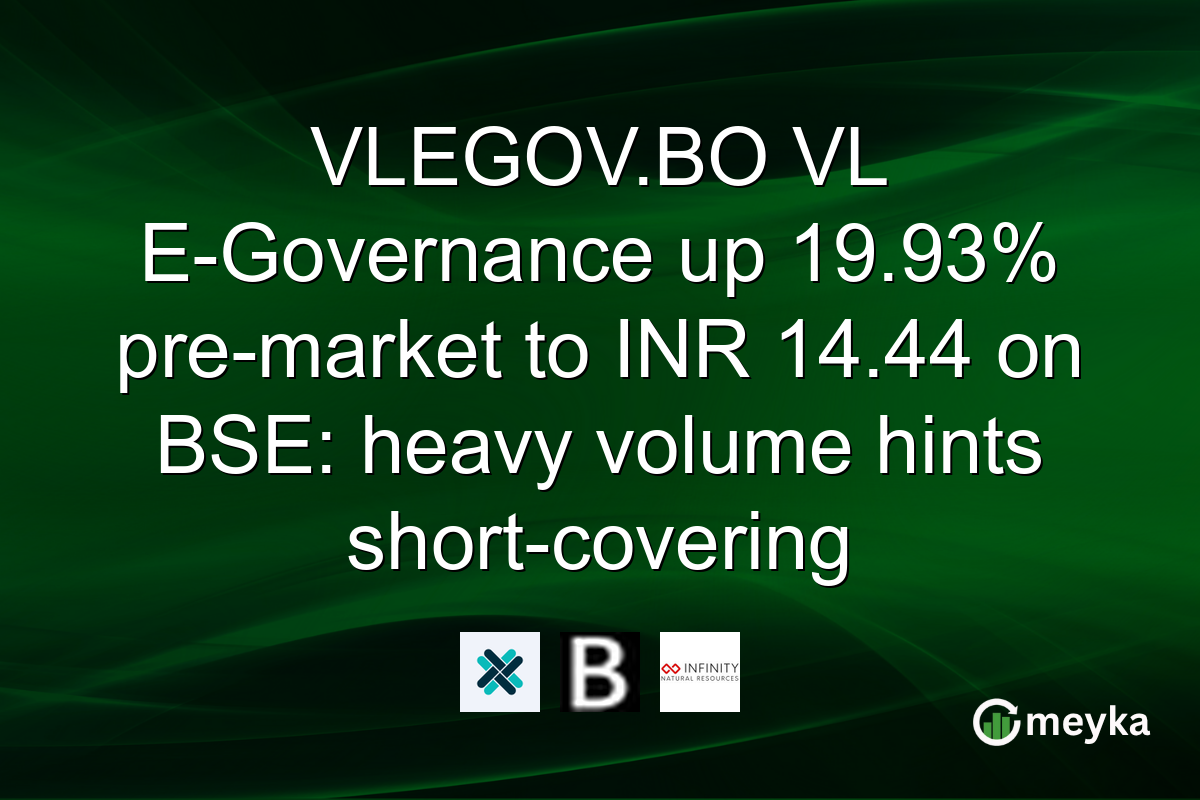 VLEGOV.BO VL E-Governance up 19.93% pre-market to INR 14.44 on BSE: heavy volume hints short-covering
