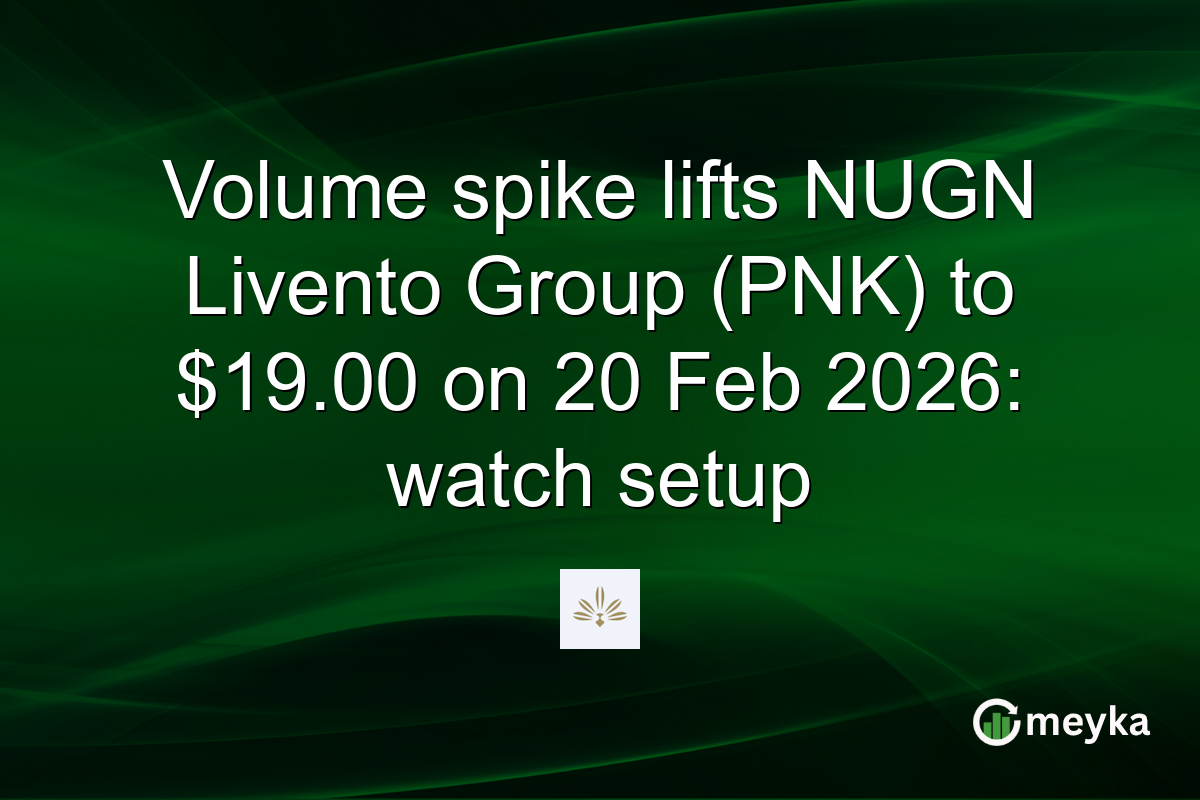 Volume spike lifts NUGN Livento Group (PNK) to $19.00 on 20 Feb 2026: watch setup