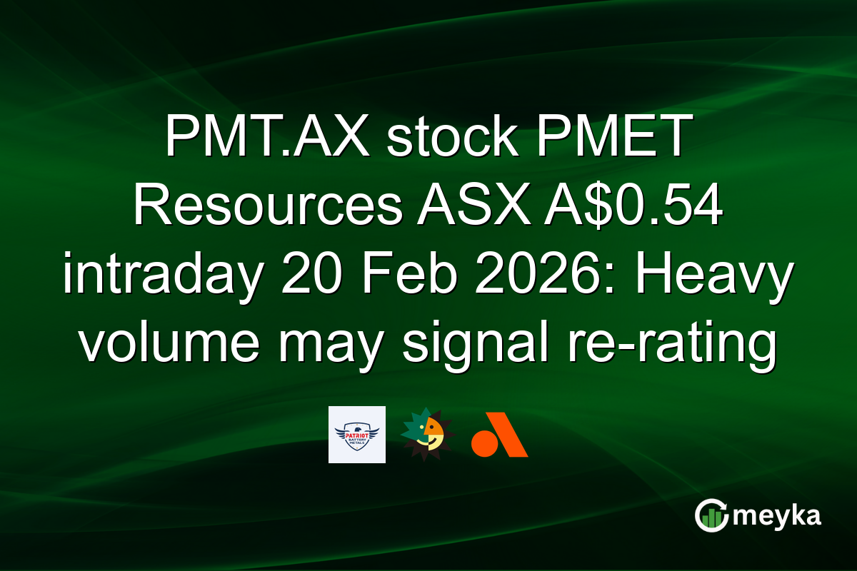 PMT.AX stock PMET Resources ASX A$0.54 intraday 20 Feb 2026: Heavy volume may signal re-rating