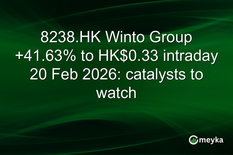 8238.HK Winto Group +41.63% to HK$0.33 intraday 20 Feb 2026: catalysts to watch