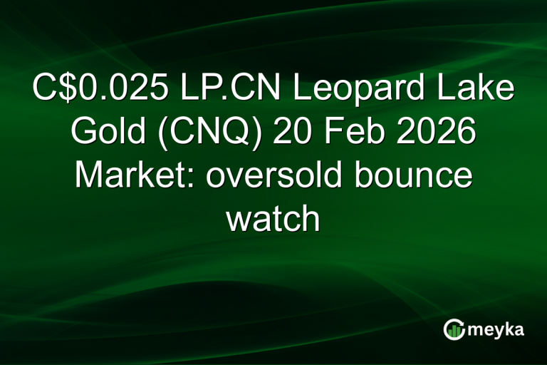 C$0.025 LP.CN Leopard Lake Gold (CNQ) 20 Feb 2026 Market: oversold bounce watch
