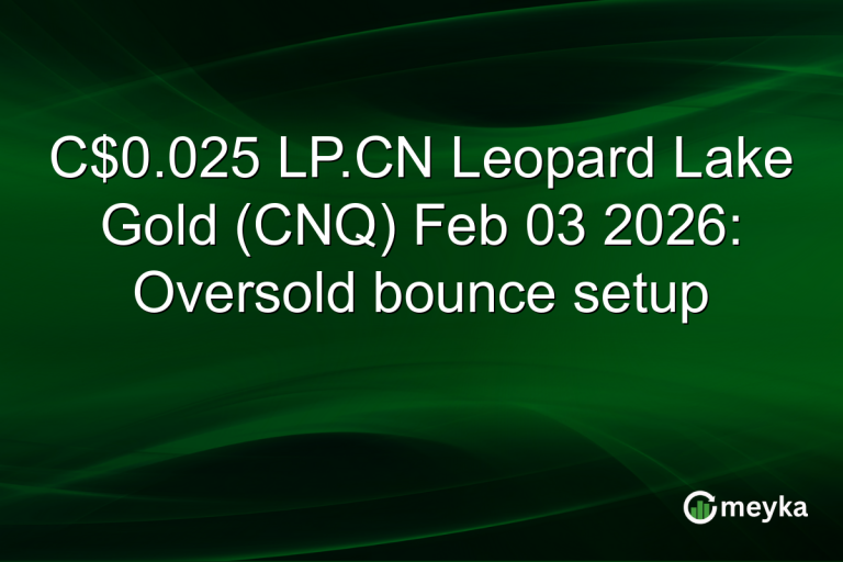 C$0.025 LP.CN Leopard Lake Gold (CNQ) Feb 03 2026: Oversold bounce setup