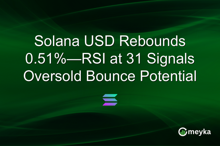 Solana USD Rebounds 0.51%—RSI at 31 Signals Oversold Bounce Potential
