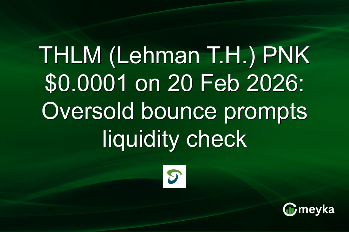 THLM (Lehman T.H.) PNK $0.0001 on 20 Feb 2026: Oversold bounce prompts liquidity check