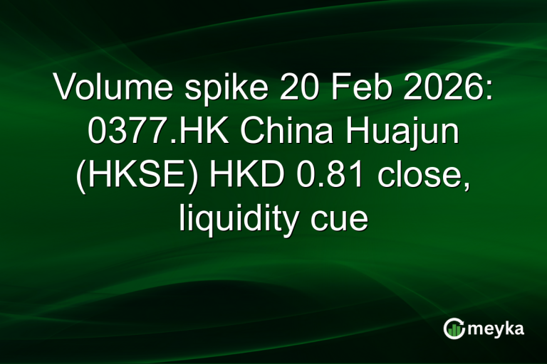 Volume spike 20 Feb 2026: 0377.HK China Huajun (HKSE) HKD 0.81 close, liquidity cue