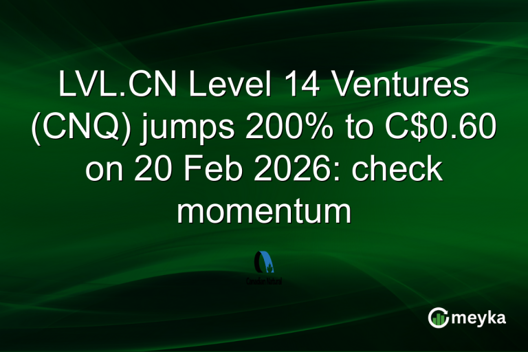 LVL.CN Level 14 Ventures (CNQ) jumps 200% to C$0.60 on 20 Feb 2026: check momentum