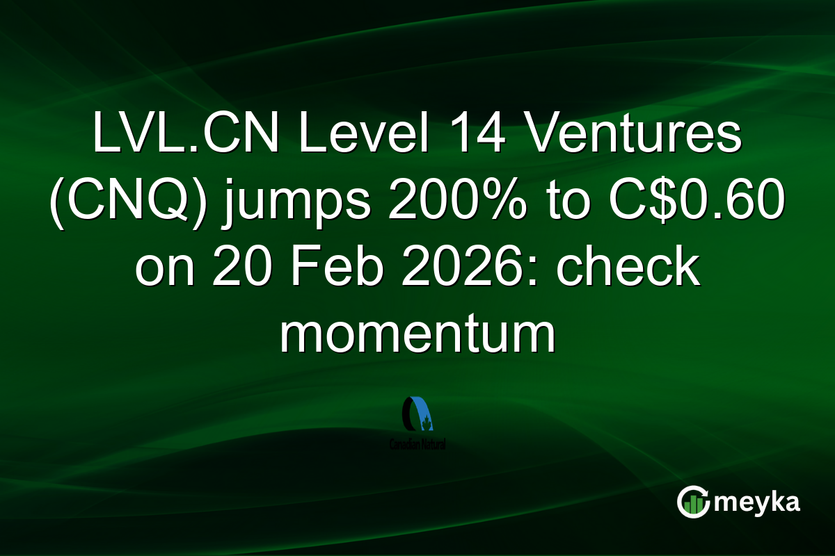 LVL.CN Level 14 Ventures (CNQ) jumps 200% to C$0.60 on 20 Feb 2026: check momentum