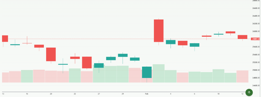 Meyka AI: NIFTY 50 (^NSEI) Index Overview, February 13, 2026