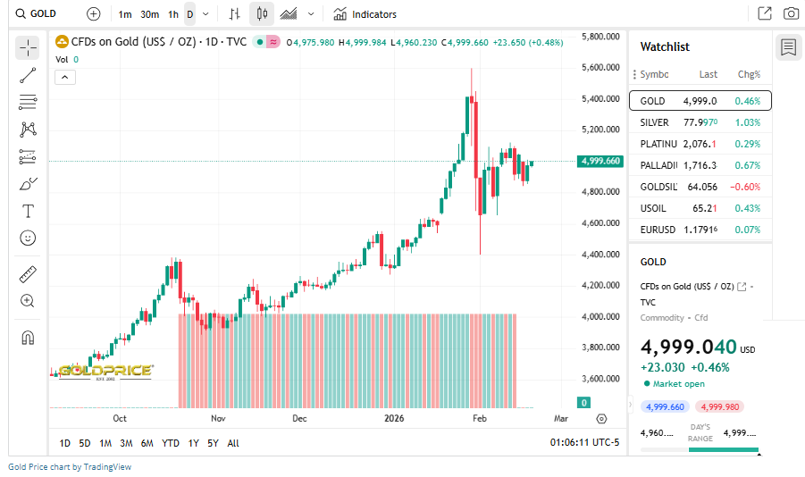 Gold Price Source: Gold Price Current Performance Overview, February 19, 2026